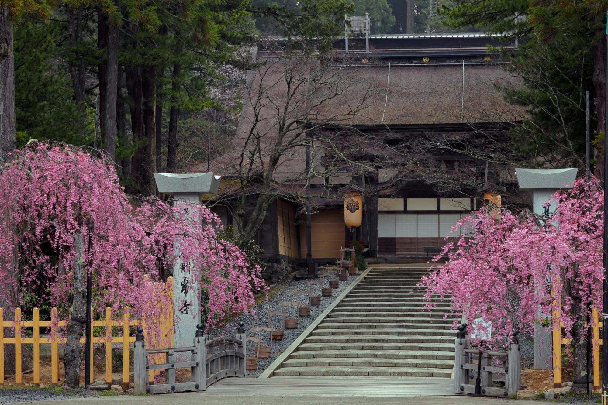 Koyasan Guesthouse Kokuu Exterior photo